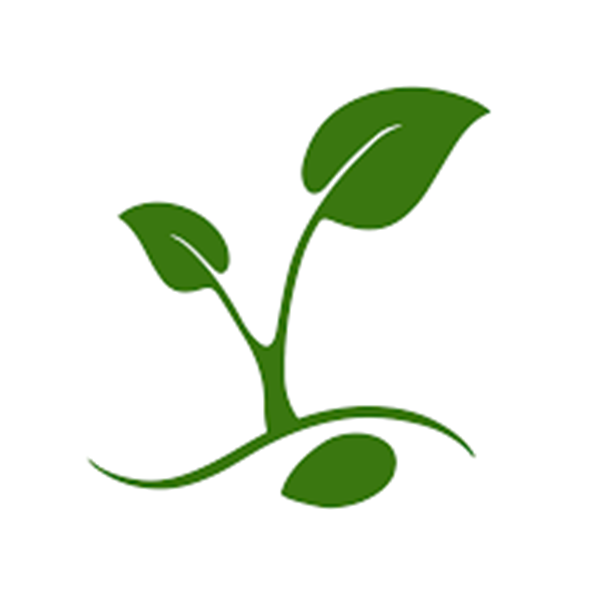 seed